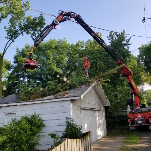 Arborist cleaning up tree damage on home
