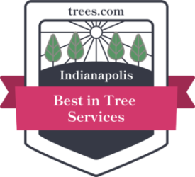 Menchhofer Tree Care Named Best Tree Service in Indianapolis, Indiana by Trees.com