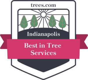 Read more about the article Menchhofer Tree Care Named Best Tree Service in Indianapolis, Indiana by Trees.com